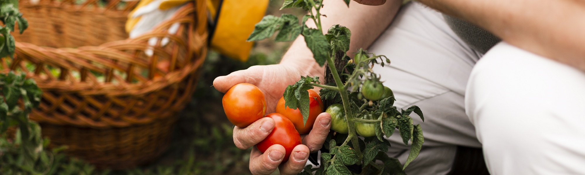 Farming